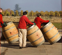 barriques château La Louvière